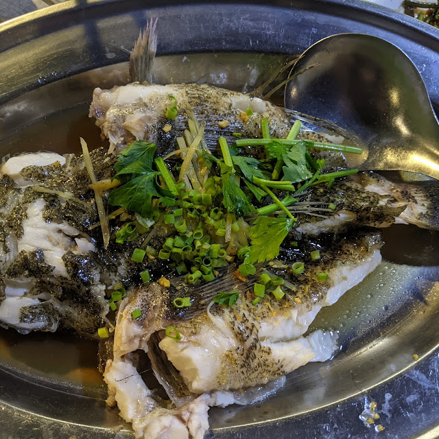 Stream Bertutu Fish