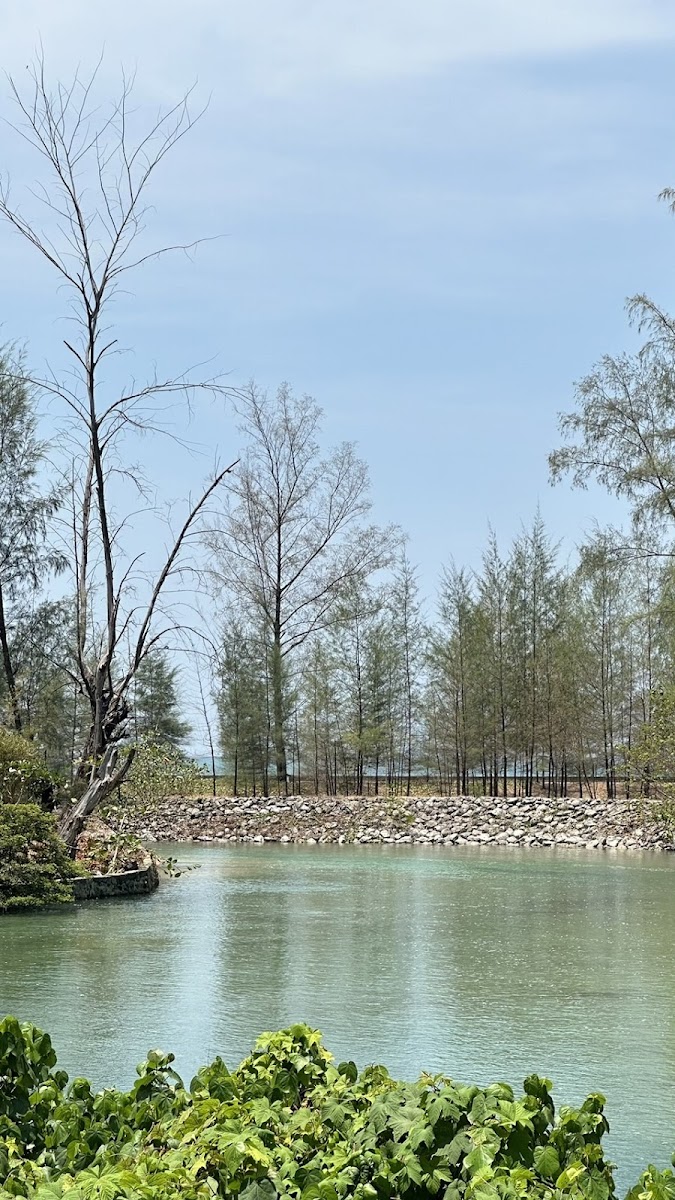 PakChee Koh Lanta Breakfast & Brunch - Photo 3