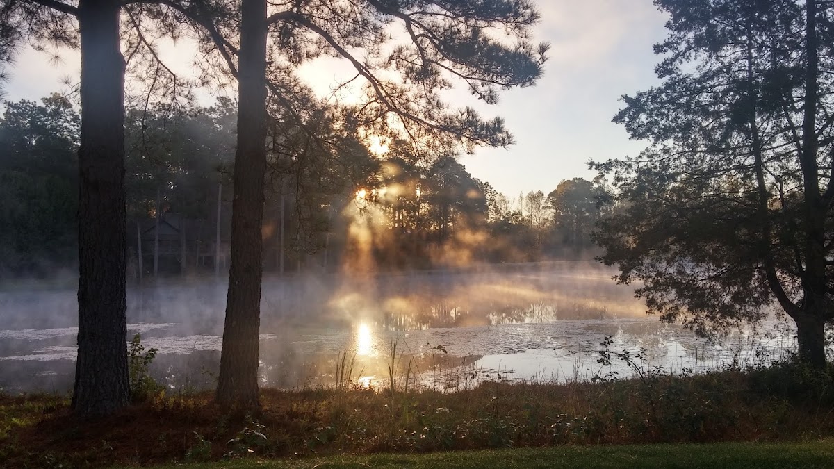 The Fairwoods On Seven - Photo 2