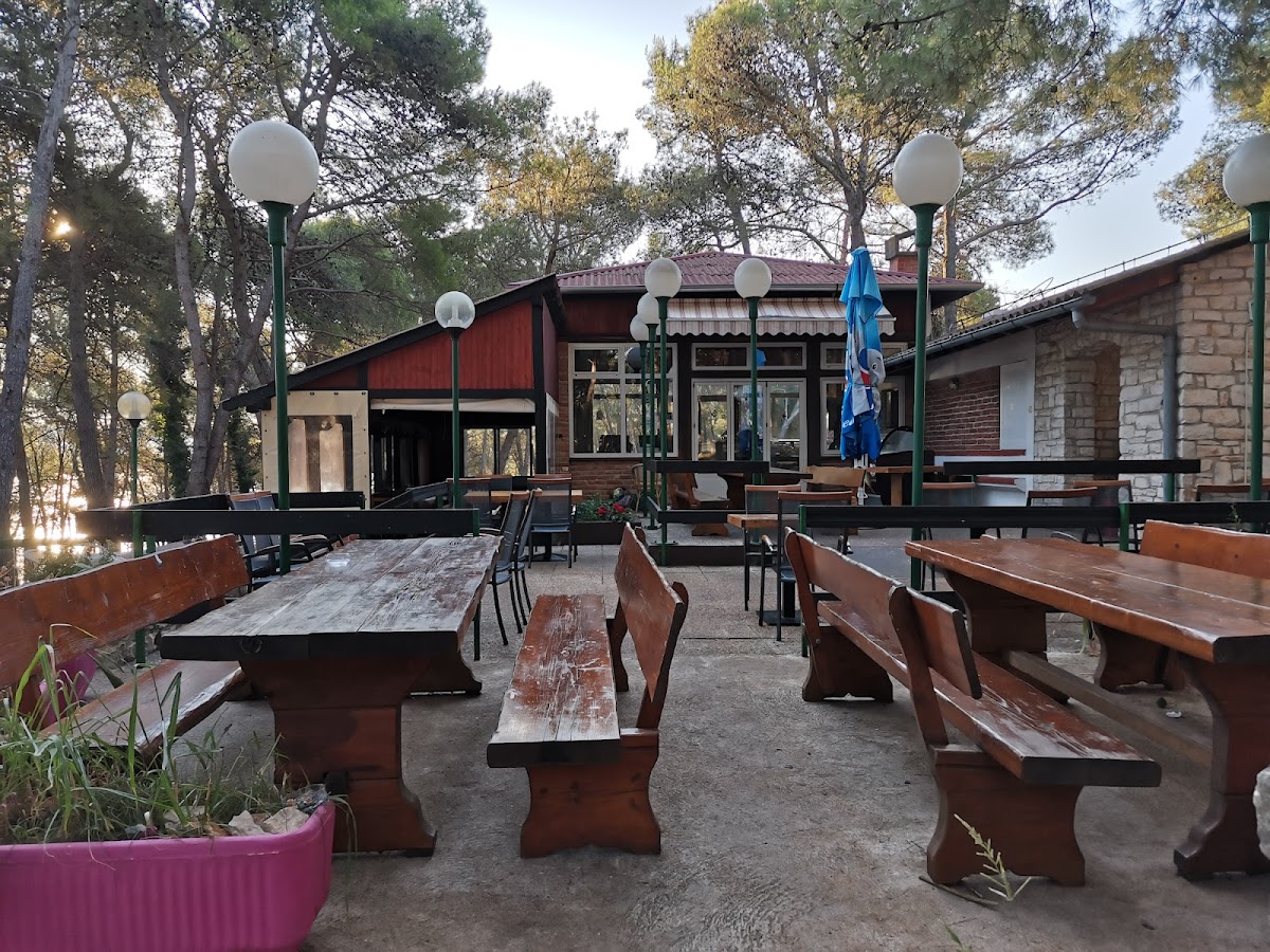 Lama Taverna
