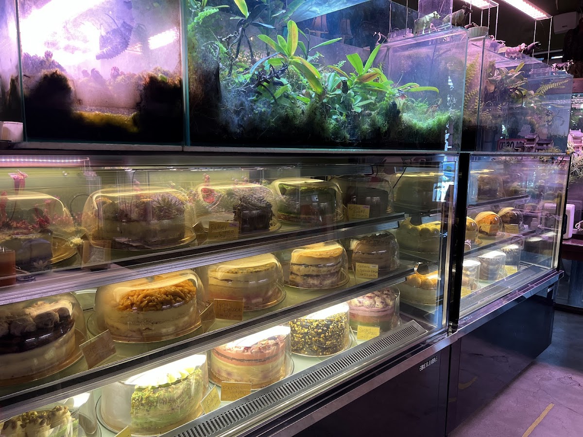 Moody Cow Dessert Cafe - Photo 3
