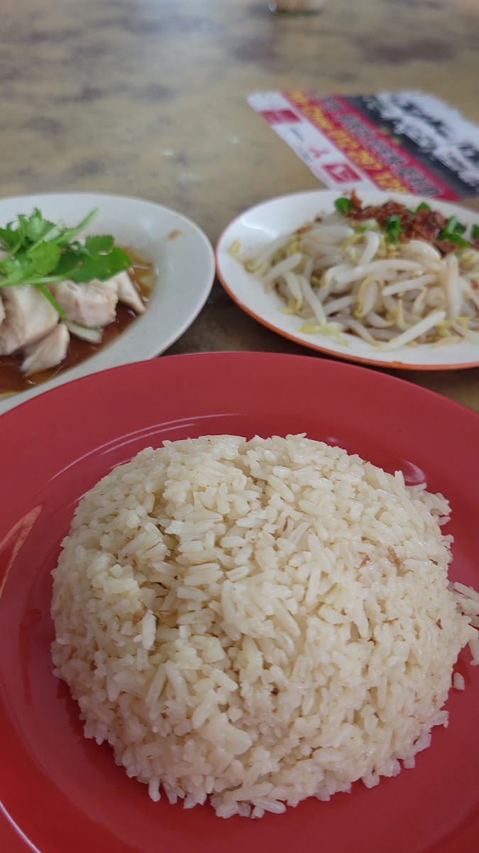 Nasi Ayam Sungai Buloh 宋溪毛糯日夜芽菜鸡 - Photo 1
