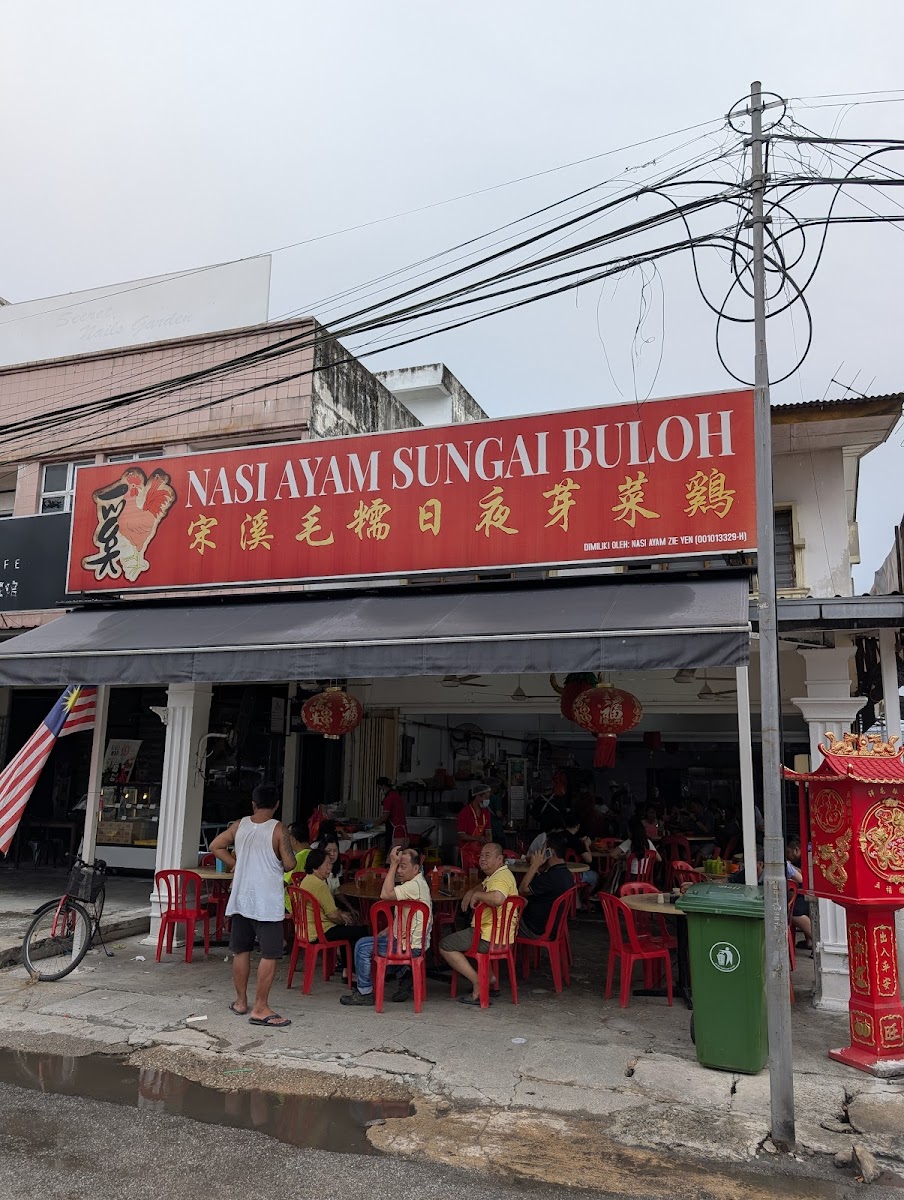 Nasi Ayam Sungai Buloh 宋溪毛糯日夜芽菜鸡 - Photo 2