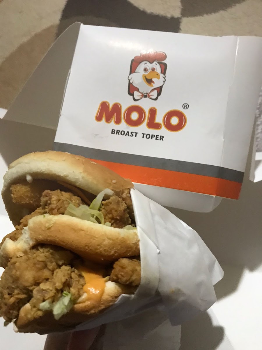 MOLO Broast Shibin El-Kom - مولو بروست شبين الكوم - Photo 8