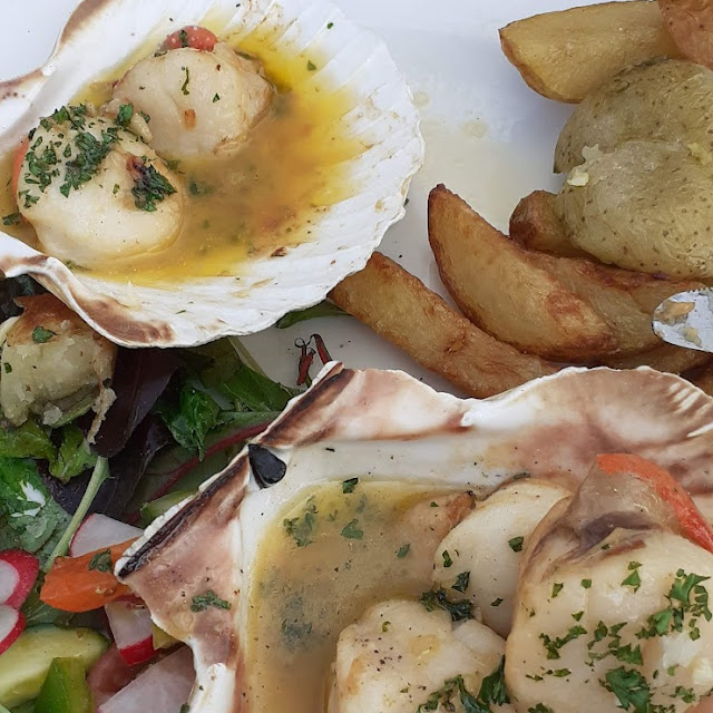 Portland Scallops