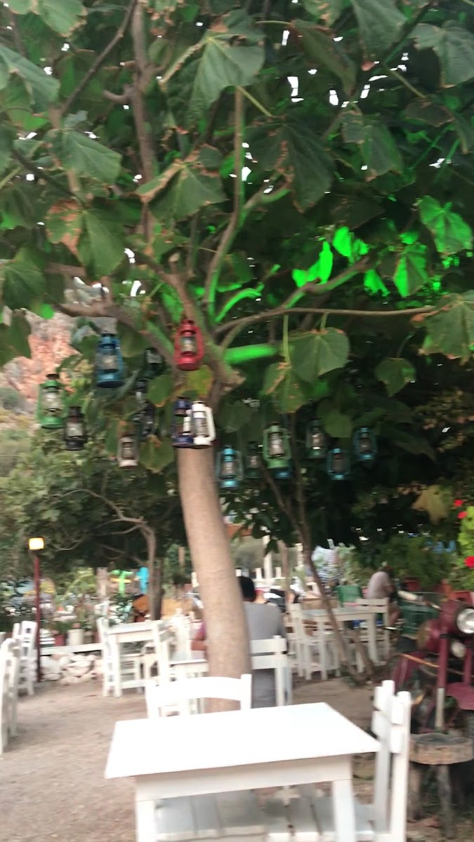 Memedin Yeri - Photo 1