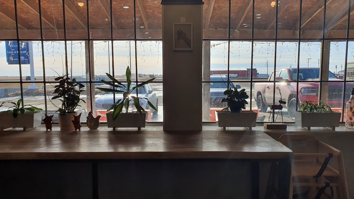 WOW Cafe (Beiseker) - Photo 2