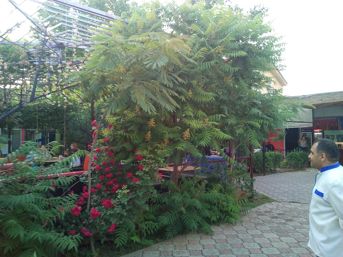Ekhrom - Photo 3