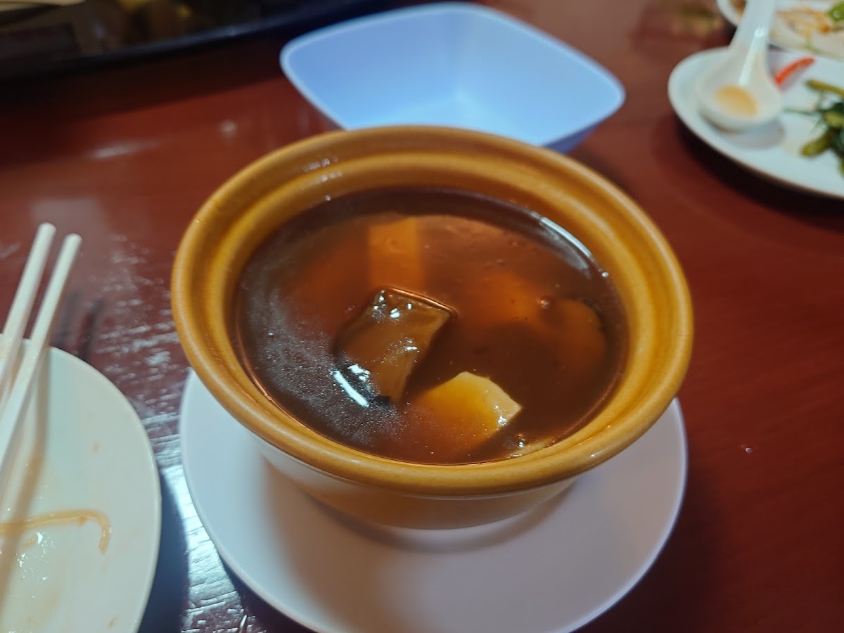 China Shark Fin - Photo 3