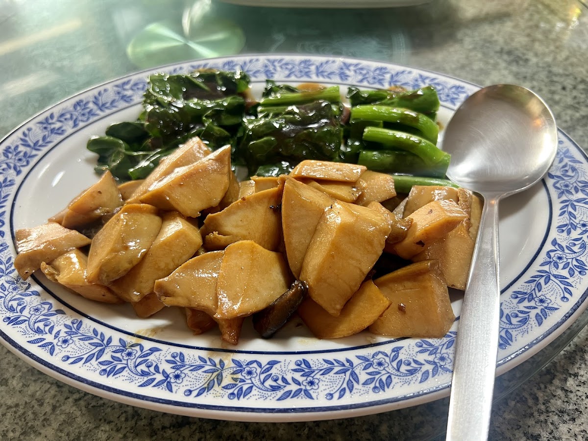 China Shark Fin - Photo 5