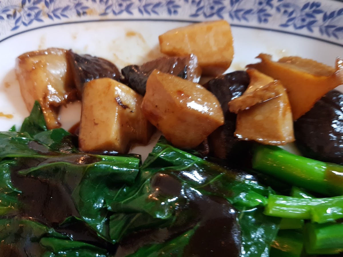China Shark Fin - Photo 8