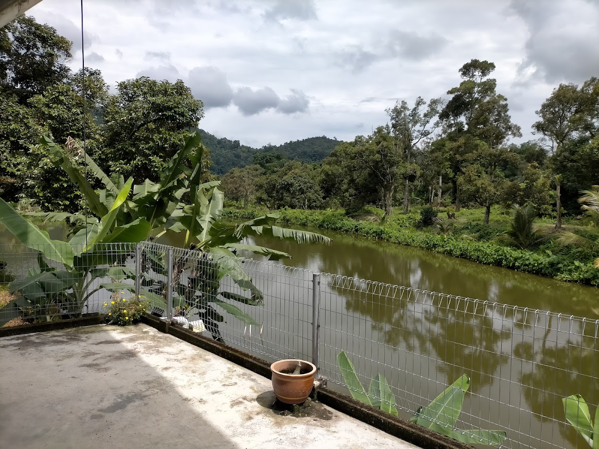 Restaurant Ikan Bakar Yap Broga Semenyih - Photo 3