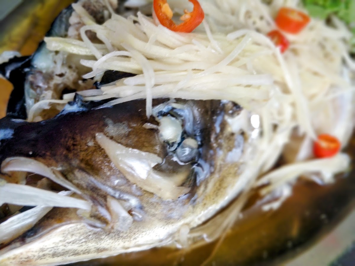 Yi Kei Fish Head 义记蒸鱼头 - Photo 5