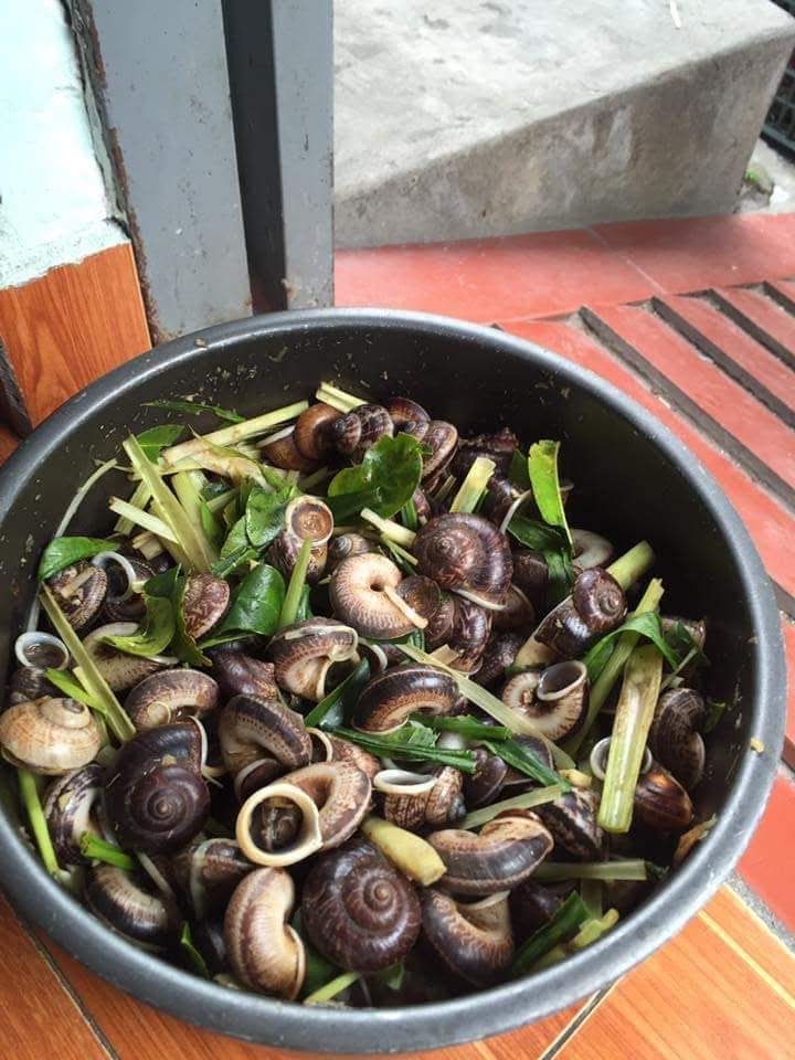 Nhà Hàng Độ Ngần - Photo 9