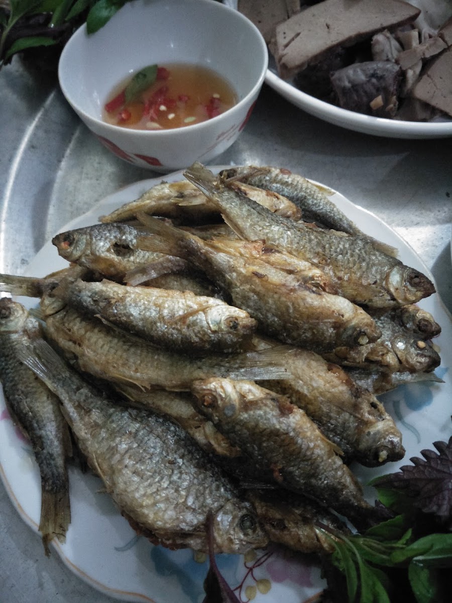 Nhà Hàng Độ Ngần - Photo 8