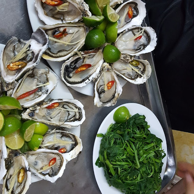Hàu Sống