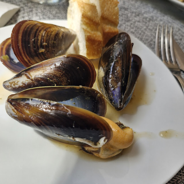 Mussels