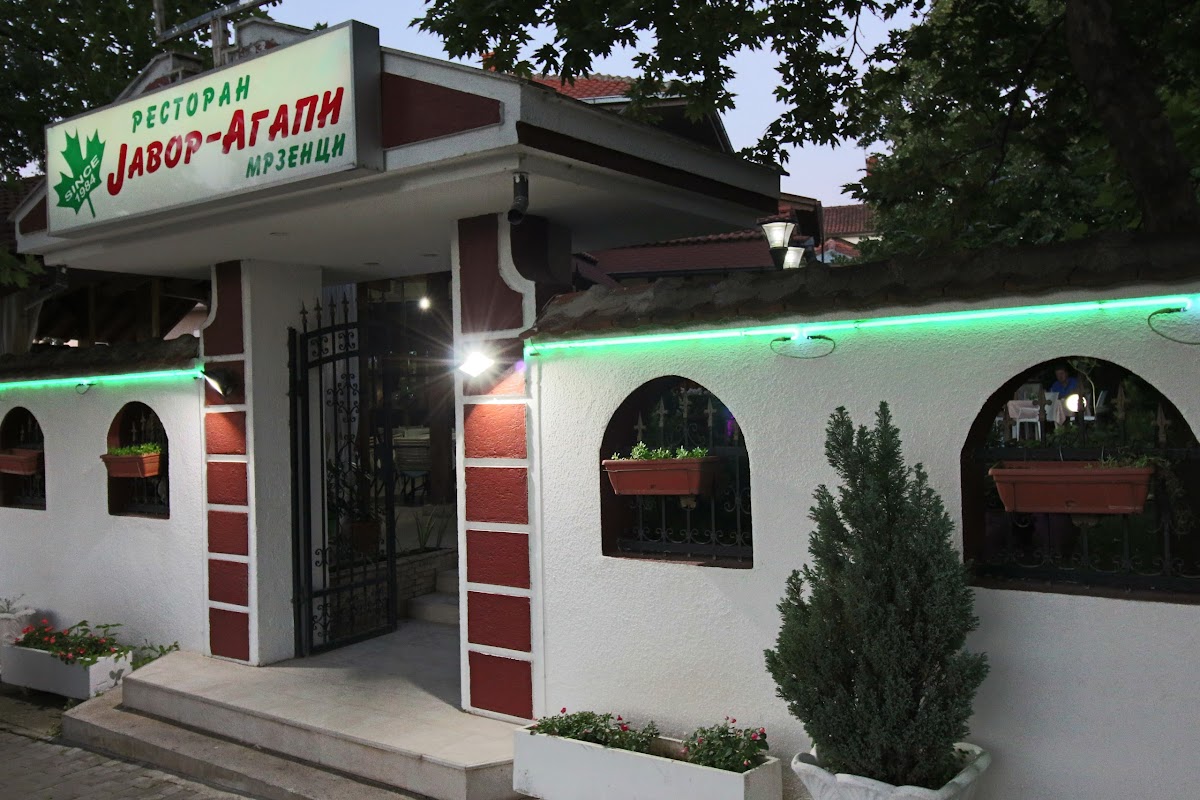 Javor Agapi Mrzenci