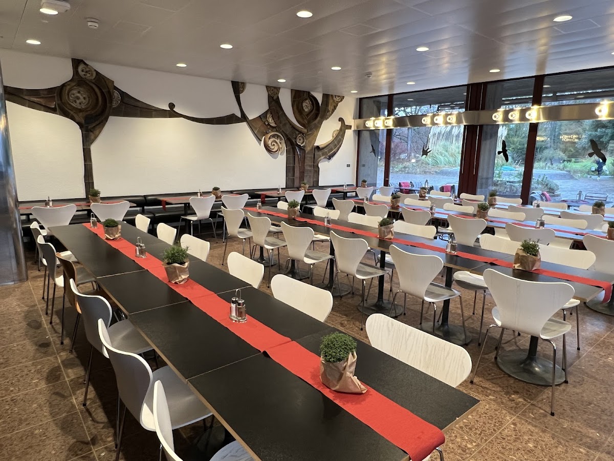 Cafeteria UZH Botanischer Garten - Photo 2