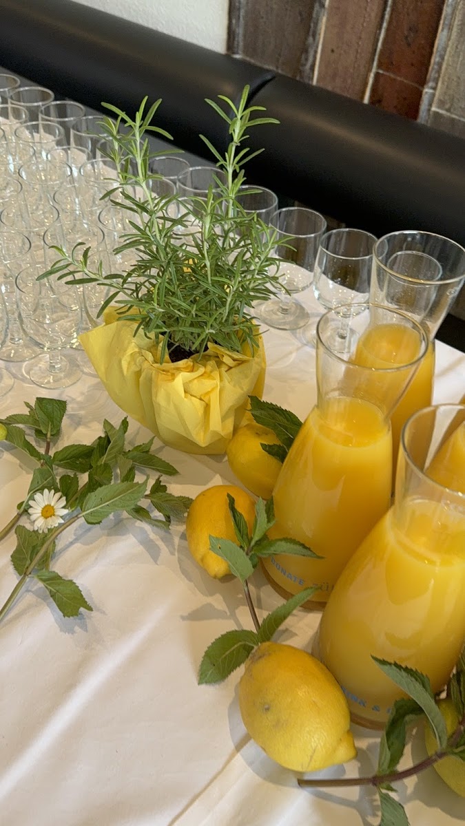 Cafeteria UZH Botanischer Garten - Photo 3