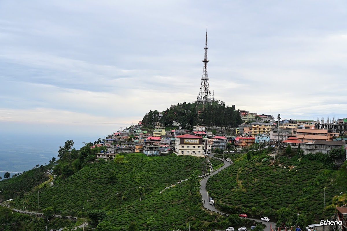 Cafe Kurseong Diaries - Photo 7