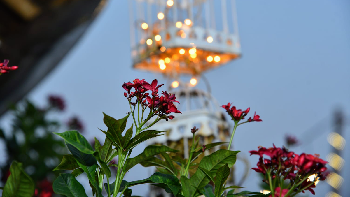Greenyard Family Diner - Photo 2