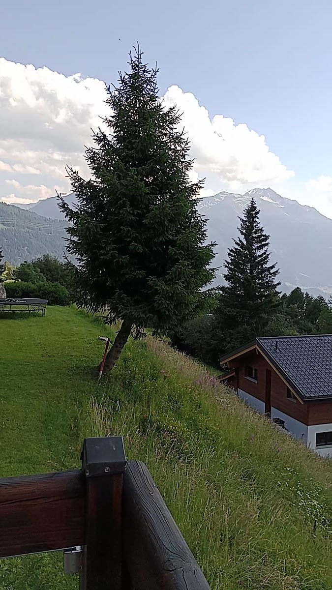 Restaurant Bellwald GmbH - Photo 1
