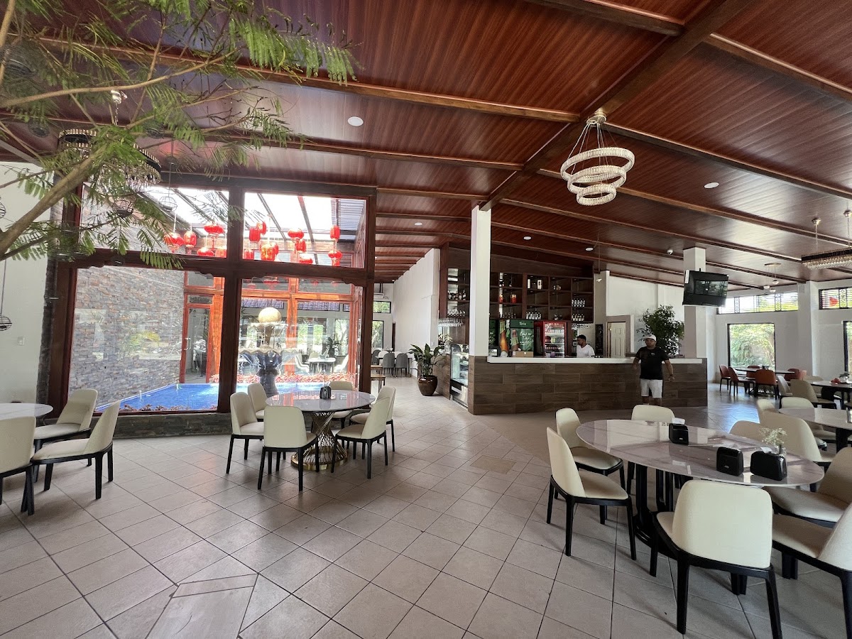 Dim Sum - Dumplings & Cantonese Cuisine