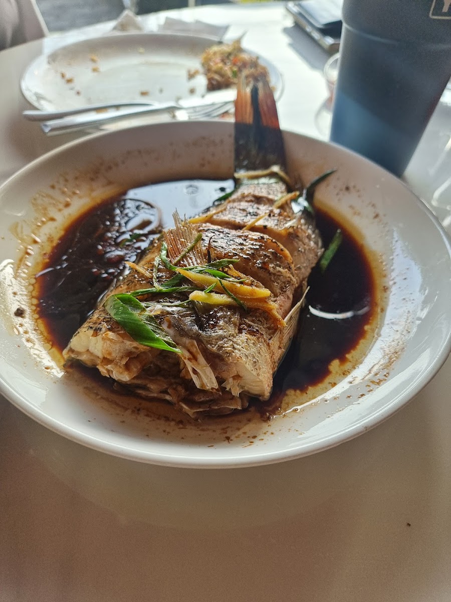 Dim Sum - Dumplings & Cantonese Cuisine - Photo 7