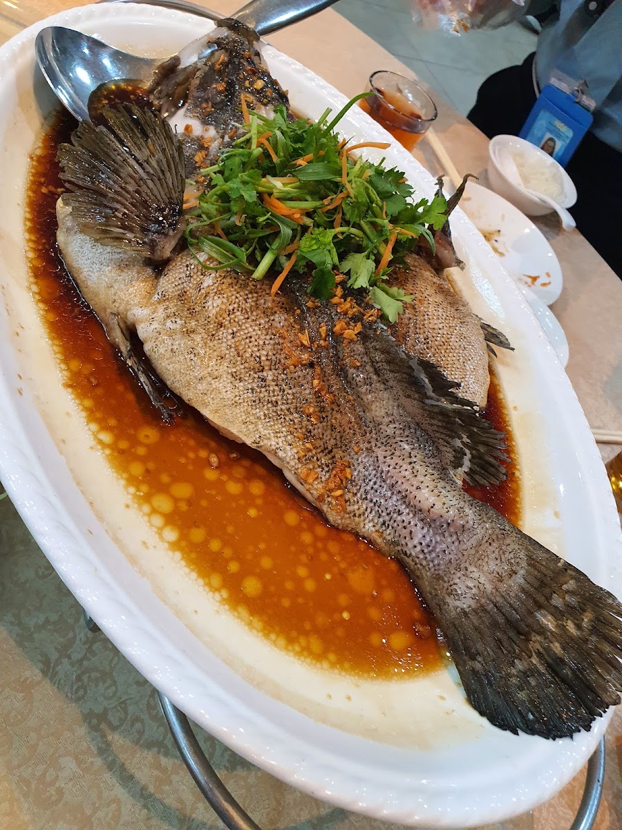 欣洋酒楼XIN YANG SEAFOOD RESTAURANT(MUAR) - Photo 4