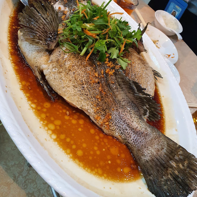 港蒸顺壳鱼