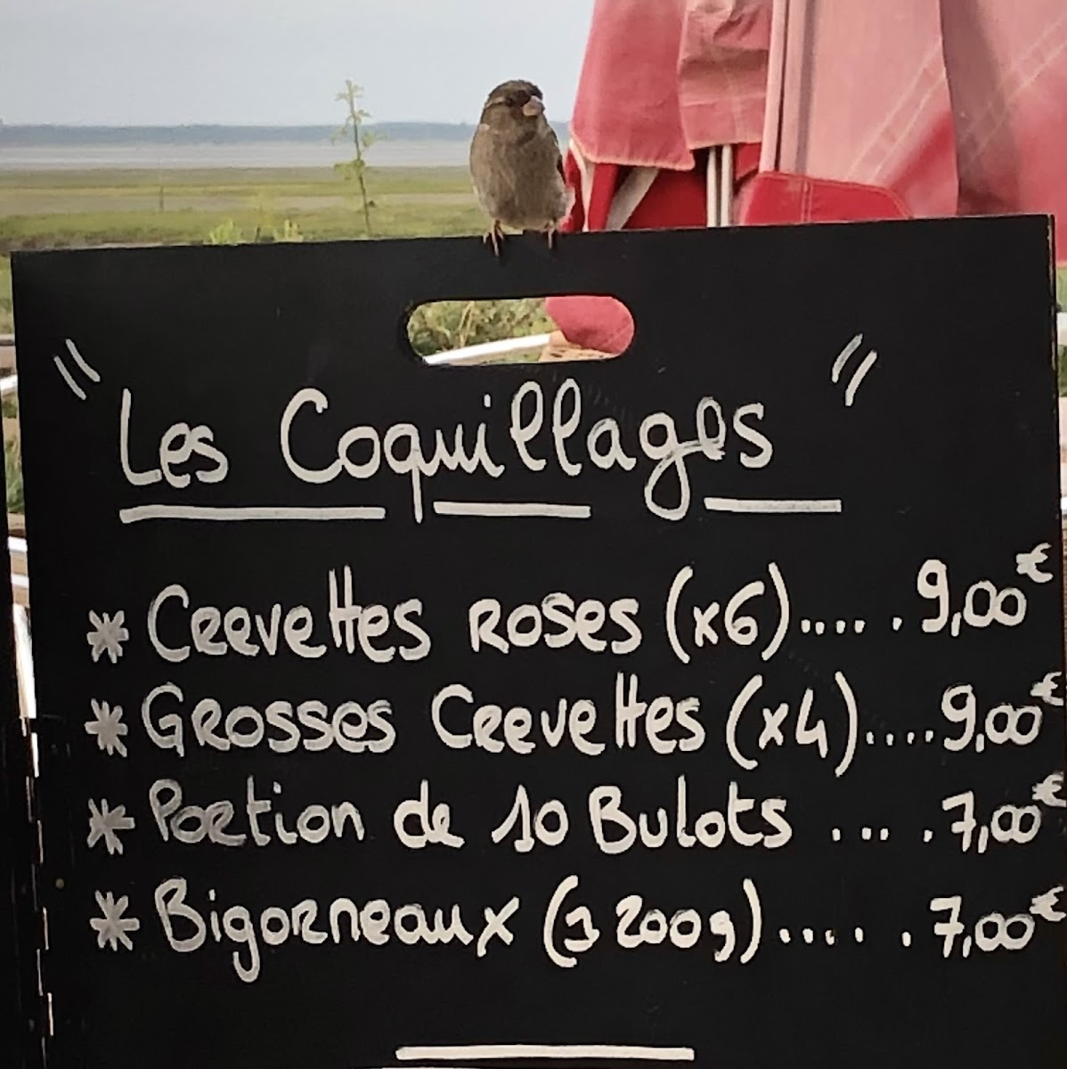 Menu Photo 8