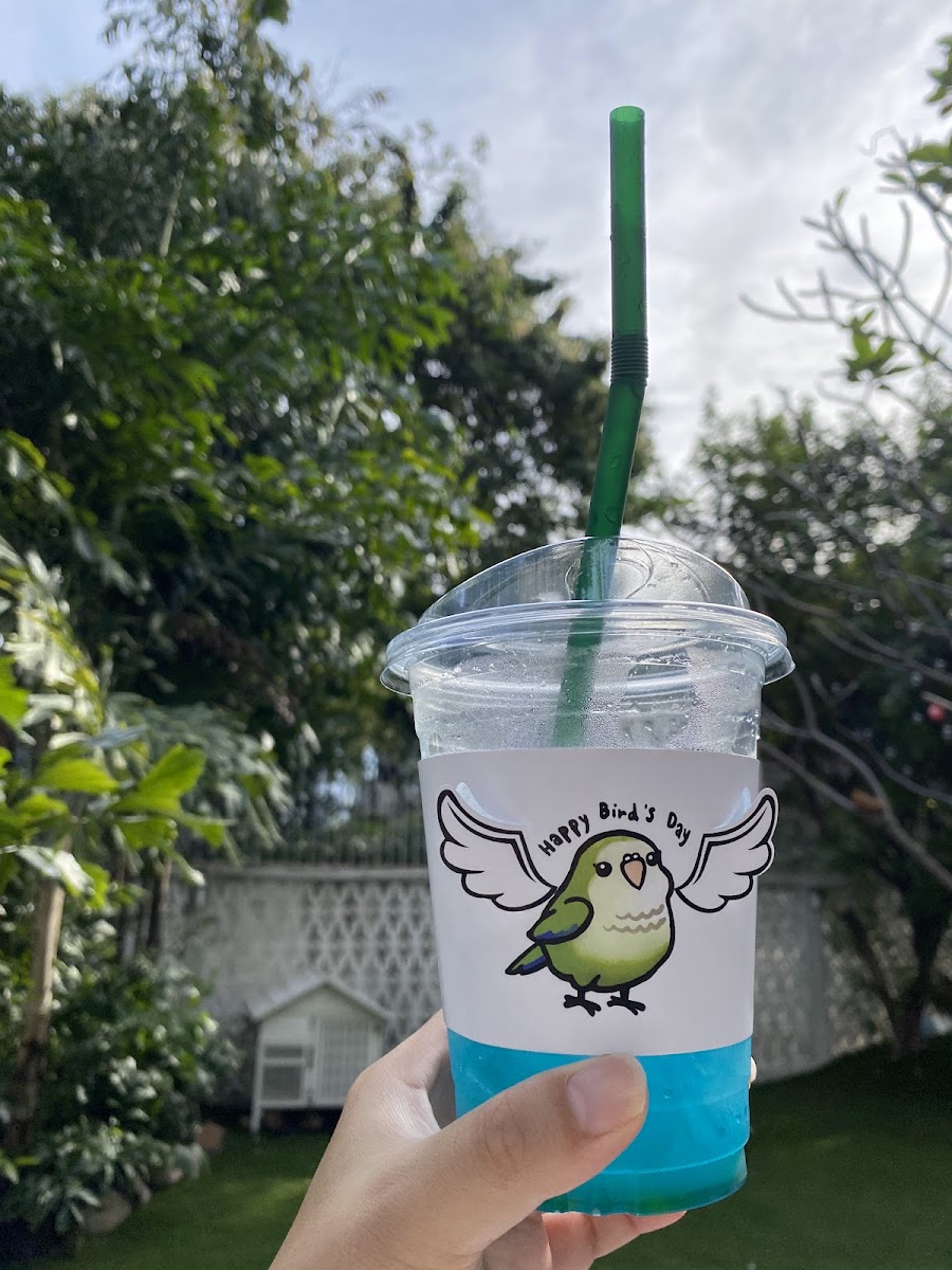 Happy Bird's Day - Photo 9