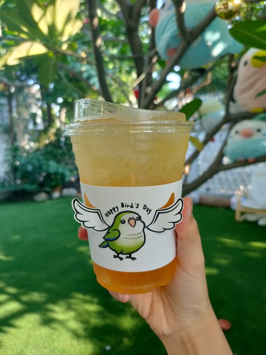 Happy Bird's Day - Photo 4