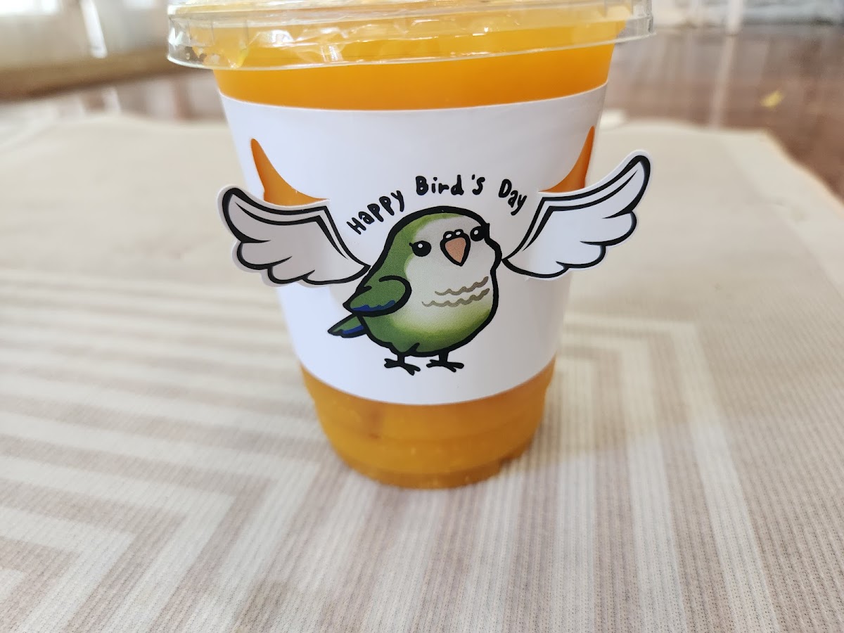 Happy Bird's Day - Photo 6