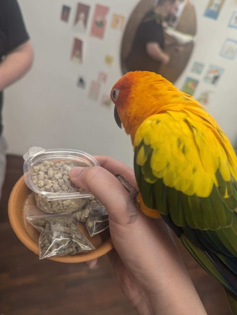 Happy Bird's Day - Photo 8