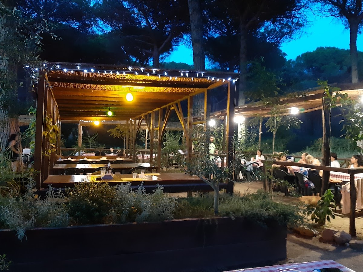 Bar dell'Eden - Photo 2