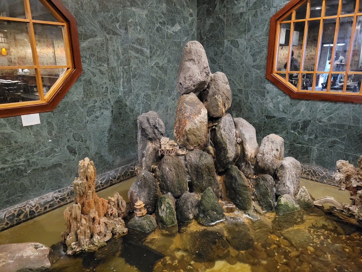 Shogun Japanese Steak House - Photo 2