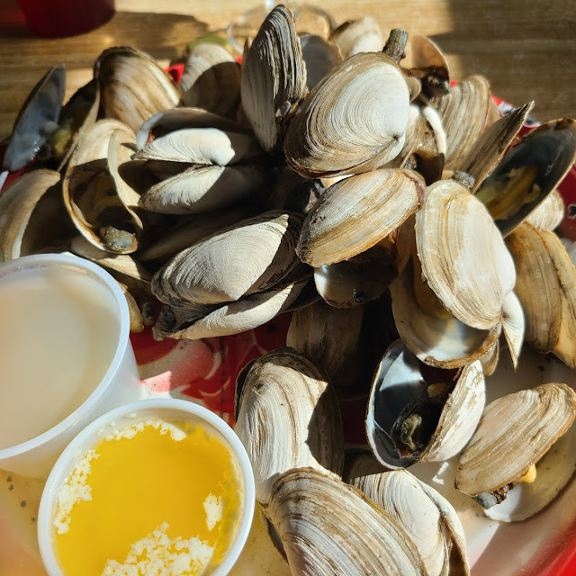 Long Neck Steamed Clams