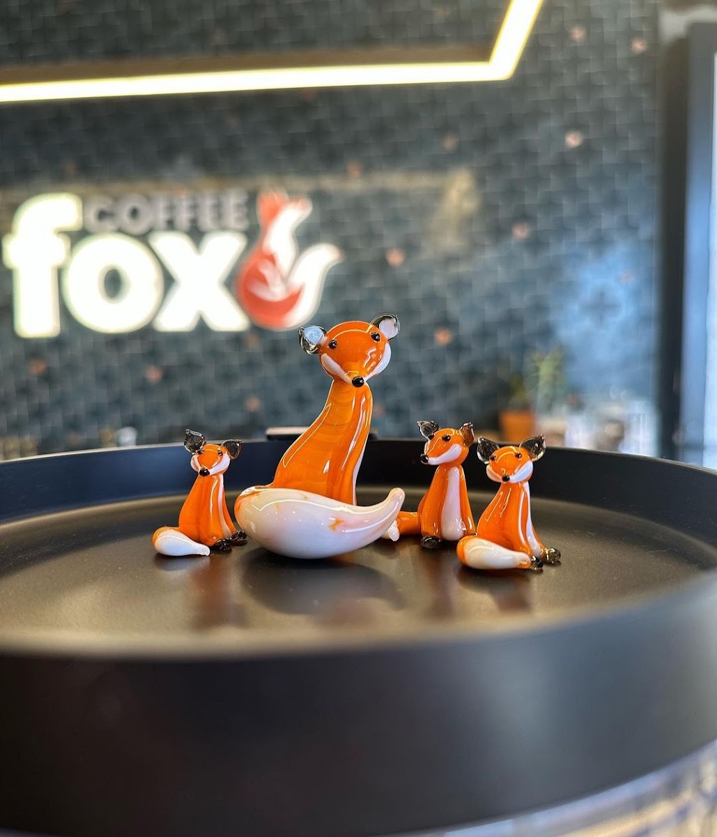 Coffee Fox Mountain View Square - Photo 4