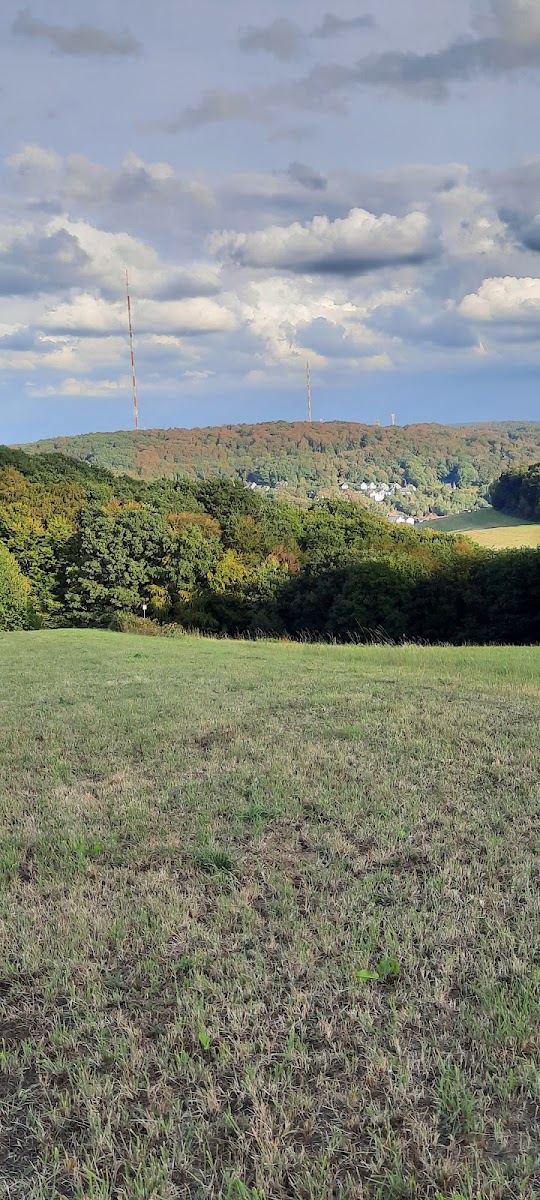 Gaststatte, Zur Wilhelmshohe - Photo 3