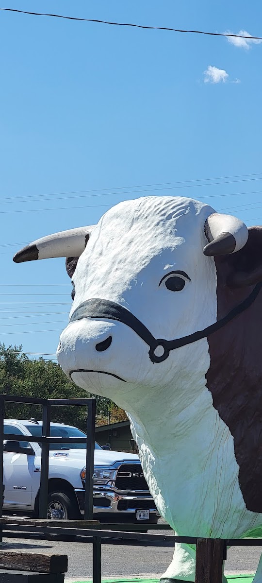 Bryan's Steaks - Photo 4