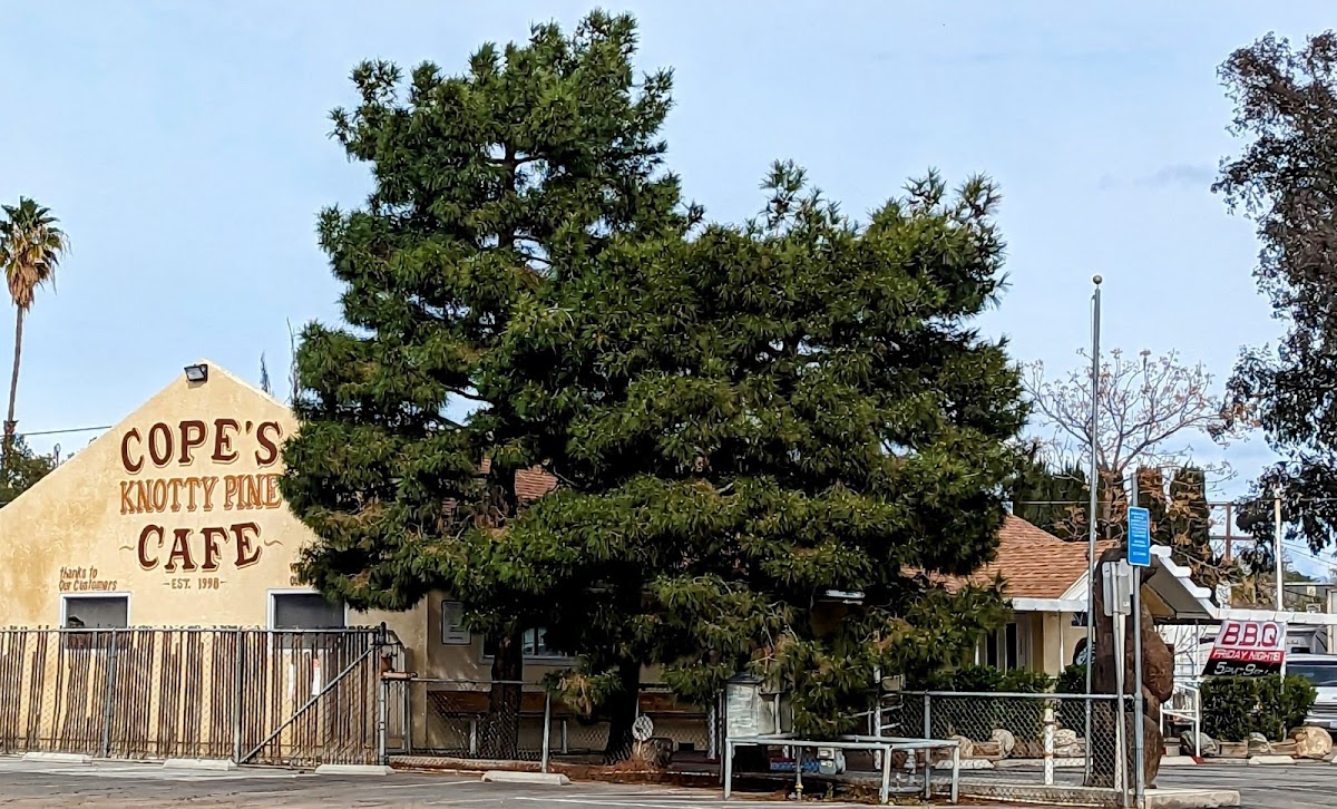 Cope's Knotty Pine Cafe - Photo 9