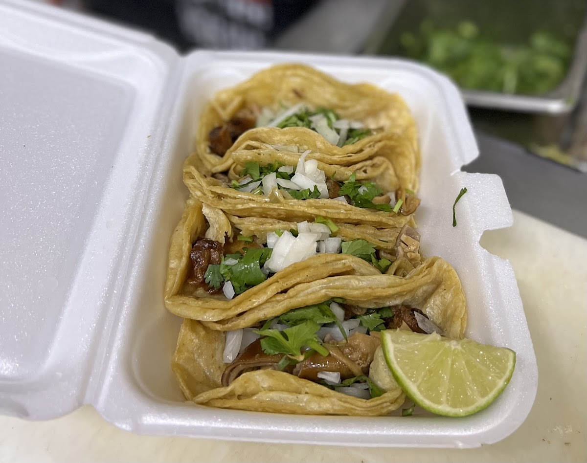 Lá Tapatia - Photo 8