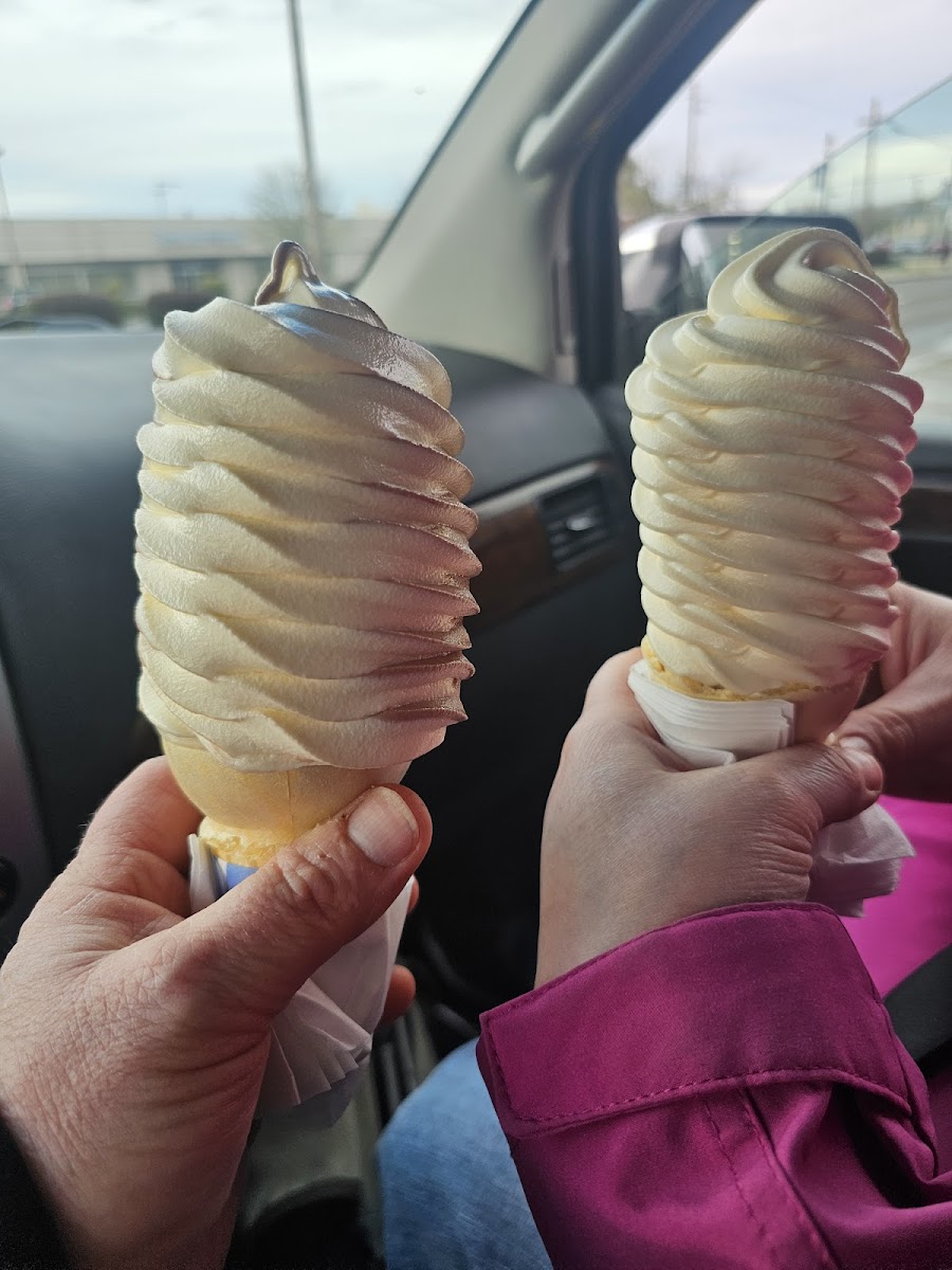 Hasty Freez - Photo 4