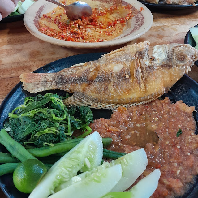 Lelapan Talapia