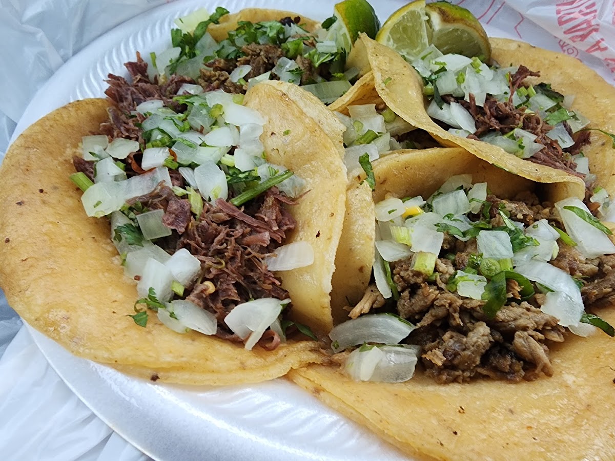San Diego Tacos Shop - Photo 3