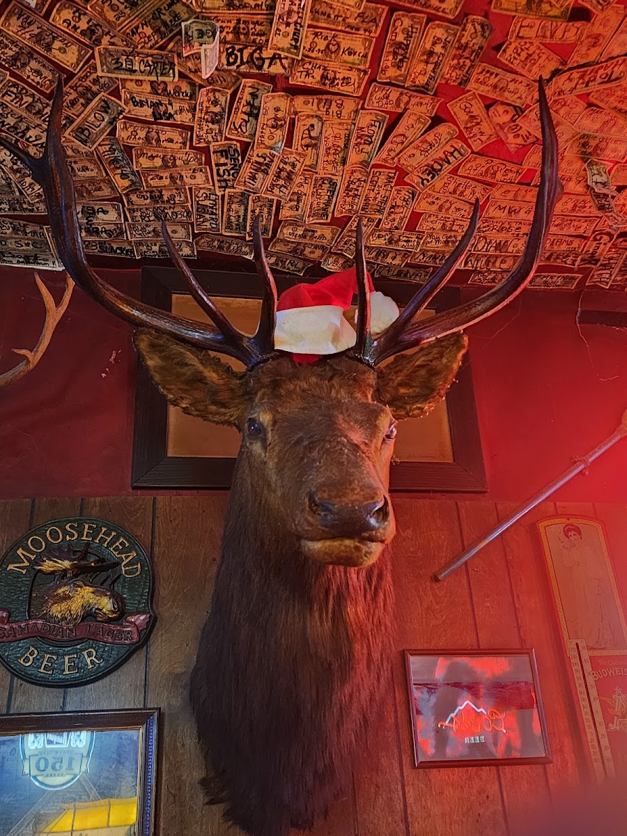 Shooting Star Saloon - Photo 5