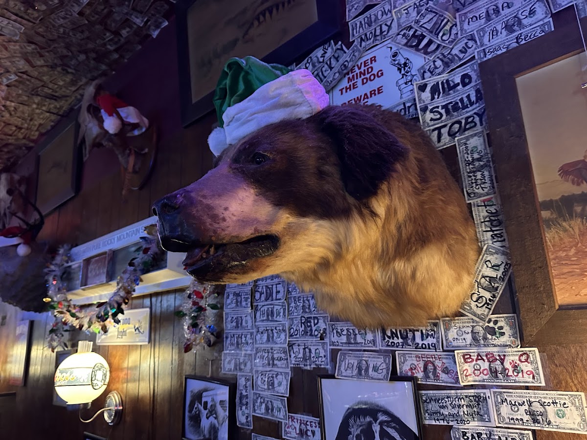 Shooting Star Saloon - Photo 6