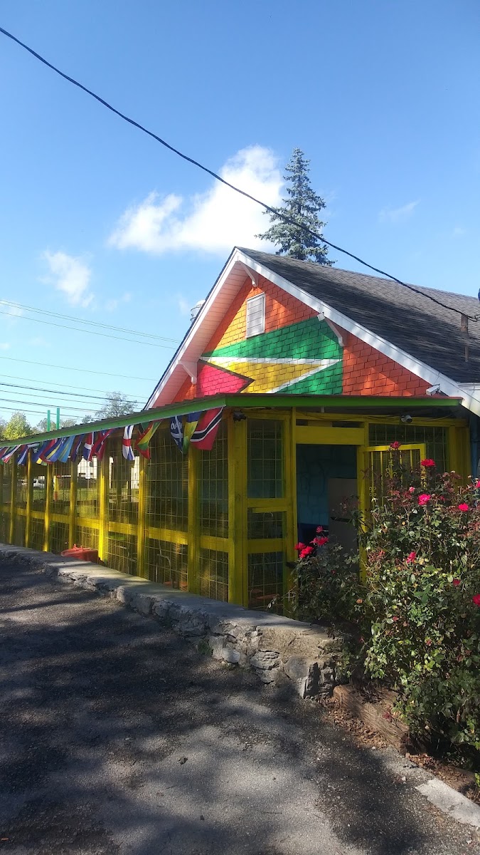 Island Vibes - Photo 2
